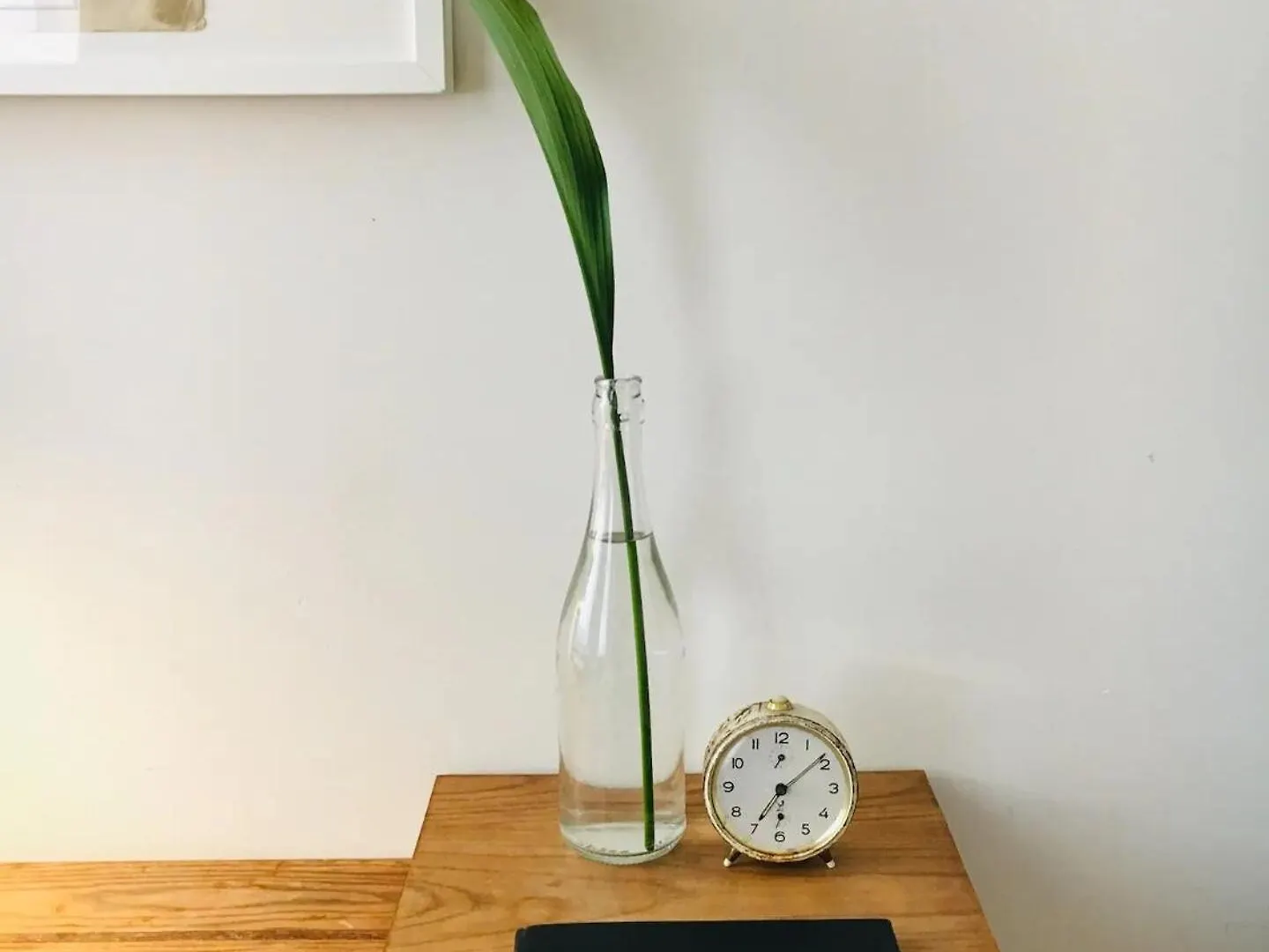 Flh Graca Vintage Home With Interior Garden Lisboa Lejlighed